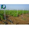 China 70x40MM HDG Vineyard Trellis End Posts Orchard Poles With Matched Accessories factory