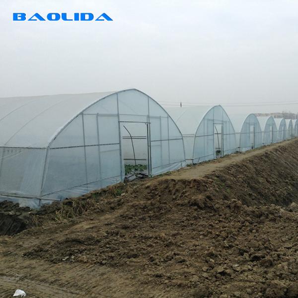 Quality High Hoop Tunnel Polyethylene Film Greenhouse For Agriculture for sale