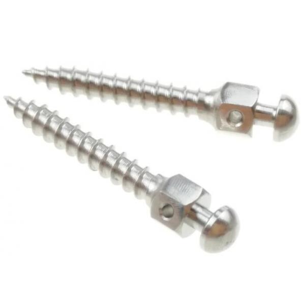Quality Custom 316 Stainless Steel Dental Implant Screw M0.8 Jaw Bone Fastener For Teeth for sale