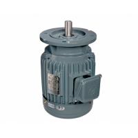 Quality Iec 62841 2 Iec 63 B14 Iec Standard Motor Frame Sizes 3 Phase Asynchronous Motor for sale