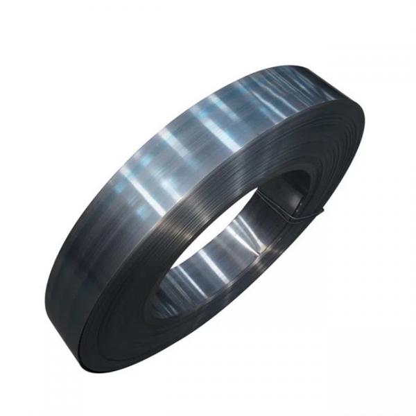 Quality 48Si7 1.5021 Blue Spring Steel Strips for sale