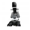 China 100 - 400X Biological LED Microscope Optical System Inverted Trinocular factory
