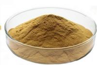 China Pharmaceutical Grade Ivy Leaf Extract CAS 14216-03-6 GMP Certificate Korea Registration license factory