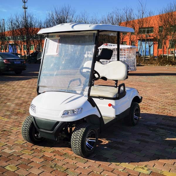 Quality 48 Volt Electric 2 Seater Golf Cart Buggies white All Wheel Drive for sale
