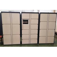 China Locker Room Furniture Luggage Lockers Sports Gym Storage Cabinet In White factory