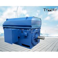 Quality High Voltage Electric Motors for sale