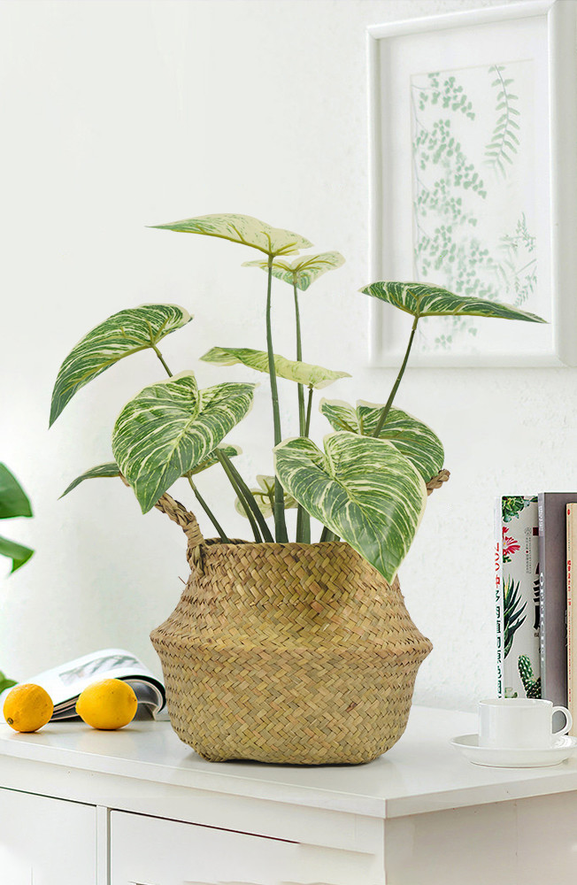 China Ornamental Small Items Artificial Potted Floor Plants Philodendron Birkin factory