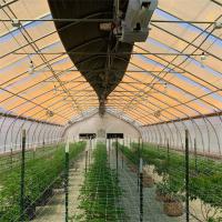 china Herb Growth Greenhouse Blackout Systems With Blackout Curtain