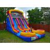 China Colorful Dry / Wet Kids Backyard Inflatable Water Slide Fire retardant factory
