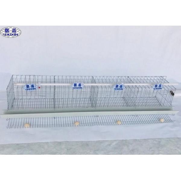 Quality 4 Layer Chicken Cage 128 Chicken Capacity For Uganda Farm 20 Years Lifetime for sale