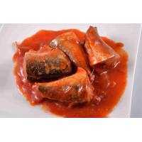 Quality Canned Mackerel In Tomato Sauce 425g (15oz) for sale