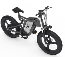 Quality Latest 10AH 15AH 20AH Battery Ridstar Electric Bike Travel Electric Downhill for sale