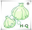 China Shandong H-Q Spices Co.,Ltd logo