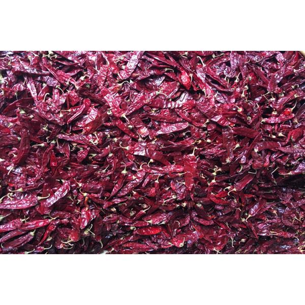 Quality 240ASTA Sweet Paprika Pepper Seedless Dried Whole Red Chilies NO Pigment for sale
