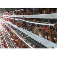 Quality 4 Tiers 128 Capacity H Type Layer Chicken Cage For Commercial Chicken Farm for sale