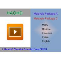 China Malaysia package HaoHD A and C iptv Account Malay Singapore indian indonesia live tv channels for android Device factory