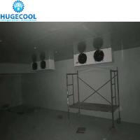 Quality Fresh Keeping CFC-Free PU Panel Cold Room for sale