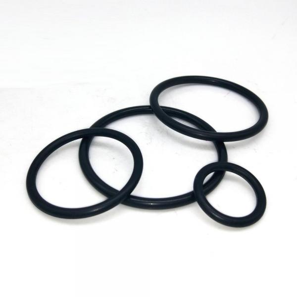 Quality ISO9001 Mechanical Seals Parts FKM 75 Shore Rubber O Rings for sale