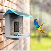 China Wifi Smart Bird Feeder With Camera For Outdoor Wildlife Identification factory