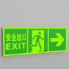 Quality Rectangle Subway Photoluminescent Signage Fire Evacuation Door Signs for sale