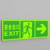 Quality Rectangle Subway Photoluminescent Signage Fire Evacuation Door Signs for sale