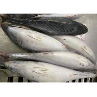China Fresh 600g Three Point Frozen Bonito Fish For Canned factory