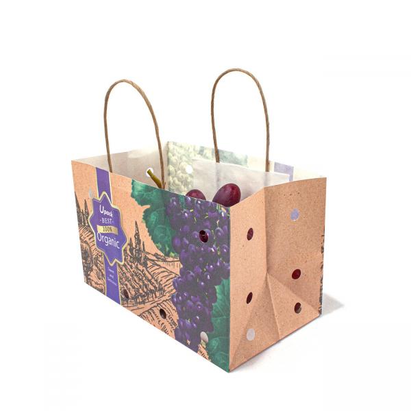 Quality Twisted Handle Fruit Paper Bags Compostable Recyclable SEDEX Certified for sale