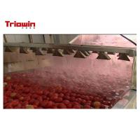 China Tomato Ketchup Manufacturing Plant / Tomato Sauce Making Plant Filling Type Available factory