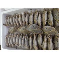 China Bulk 200g Three Spot Swimming Crab Fresh Frozen Seafood factory
