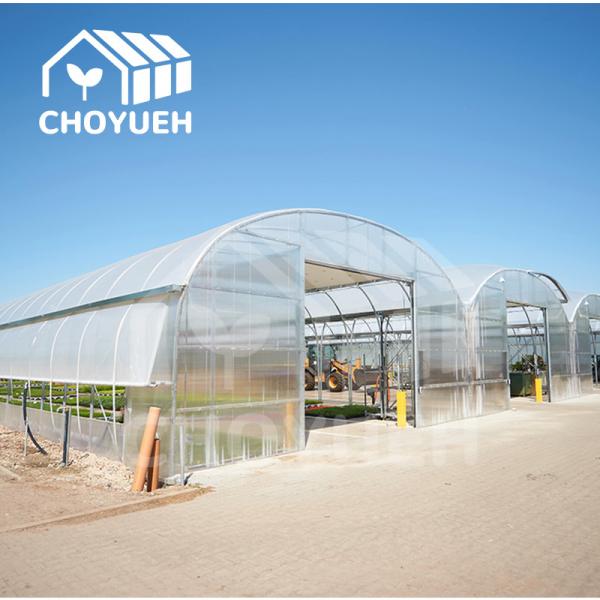 Quality Single Span Tunnel Greenhouse Thickness 12/15/18/20 Microns for sale