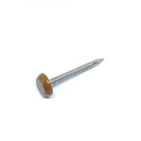 Quality A4 Stainless Steel Plastic Head Nails for sale