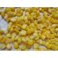 Quality Canned Corn Factory Non GMO Canned Corn Canned Sweet Corn In Tin A10 for sale