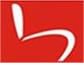 China Shaanxi Botai Automobile Accessories Co.,Ltd. logo