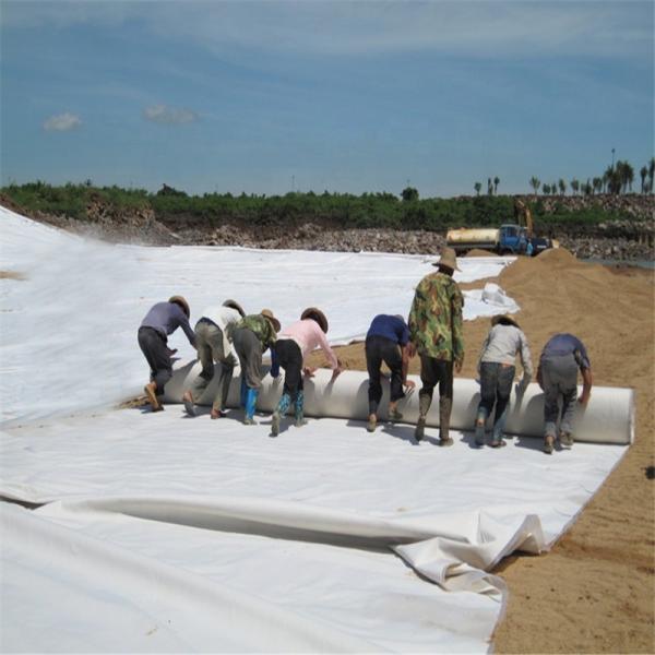 Quality Non Woven Fabric Composite Geomembrane Traffic Tunnel Construction Isolation for sale