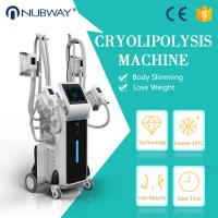 China Best 4 handles cool shape cryolipolysis slimming fat freeze machine weight loss factory