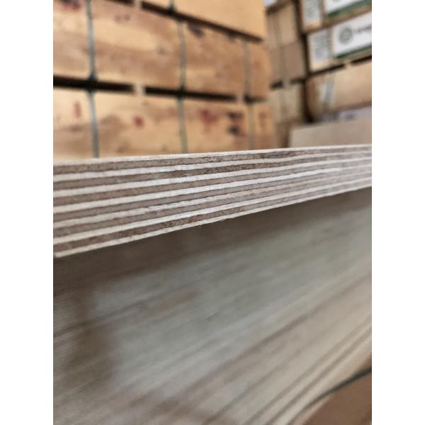 Quality Mildewproof Hardwood Faced Plywood For Furniture UV Resistant for sale