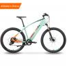 China Light Green Thailand Electric City Bike 16.5AH Lithium Battery 250w factory