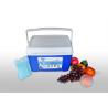 China 30L Insulated Cool Box / Outdoor Plastic Ice Cool Box For Meat Transportation factory