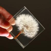 China Custom cheap paper weight resin paperweight block Resin cubic paper weight with Dandelion artificial flower inside paperweight factory