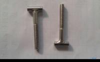 China T bolts half thread special cold forging bolts factory