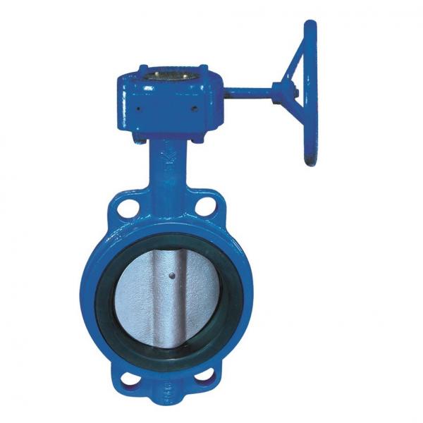 Quality Handle Type Ductile Iron Stainless Steel DISC Butterfly Valve Manifold for sale