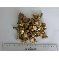 China HACCP Standard Dried Shiitake Mushrooms / Chinese Dried Mushrooms Leg Cubes factory