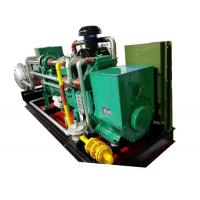 Quality 300KVA 250KW 60Hz Biogas CHP , Remote Monitoring CHP Cogeneration Systems for sale