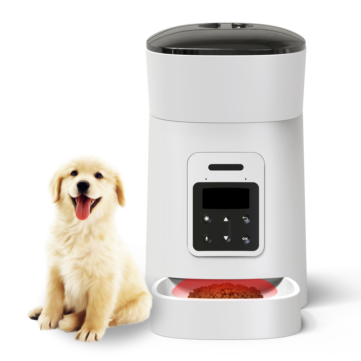 China Pets Automatic Dog Feeder And Water Dispenser With Food Bowl Designed for sale