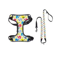 China Quick Snap Design Reflective Puppy Harness Soft Dog Harnesses With Leashes Set factory