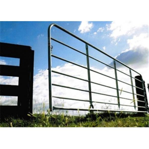 Quality 10ft / 12 Foot Farm Gate Fence , 25nb Pipe Livestock Metal Agricultural for sale