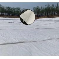 Quality Non Woven Fabric Composite Geomembrane Traffic Tunnel Construction Isolation for sale