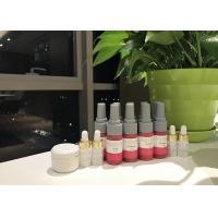 Quality Luxury Chic - makeup Lips Permanent Makeup Kit Of Pure Plant Liquid Pigment for sale