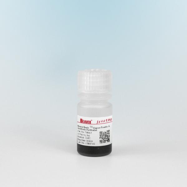 Quality Agrose Protein A Magnetic Beads Protein Purification 10% Volume Ratio 5 mL for sale