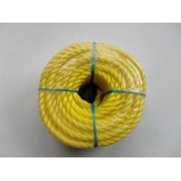 China 4mm 6mm 8mm 10mm 12mm 3-6 Strands Twisted PP Rope For Making Construction Safety Nets factory